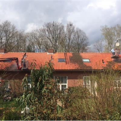 Hoogerheide, na reiniging en aanbrengen Iso A-Clean antimos wordt gehydrofobeerd